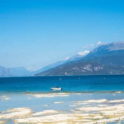 爱体育官方网站