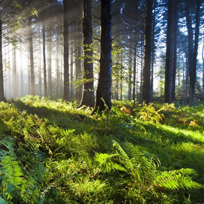 半岛彩票·中国官方网站