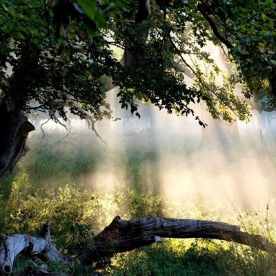 皇冠welcome下载下载手机版