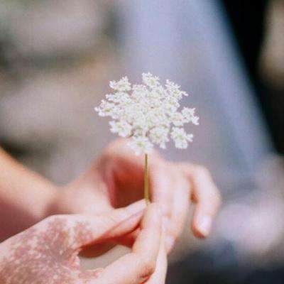 AG九游会手机app下载