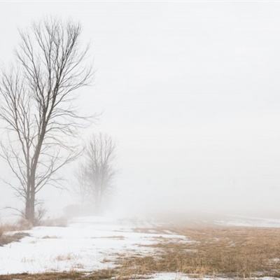 半岛bob综合登入