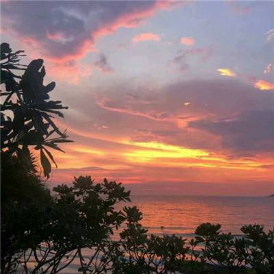 新澳门游戏网站入口